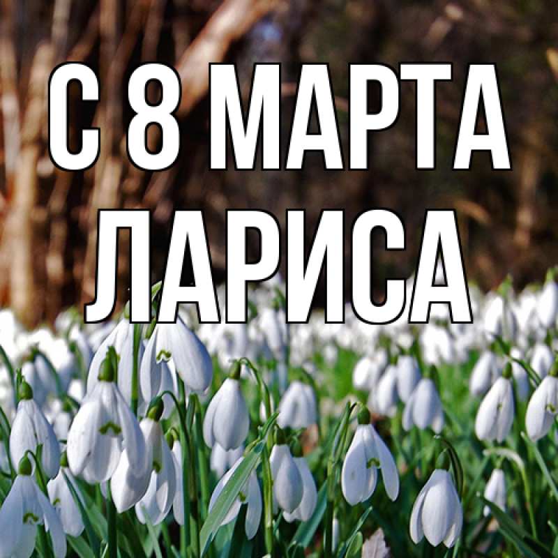 Картинка C 8 МАРТА, Лариса
