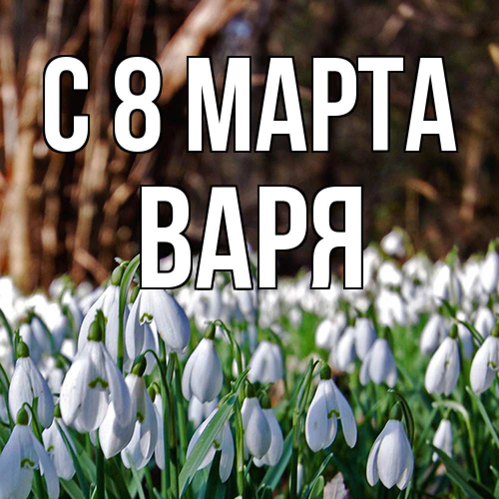 Открытка на каждый день с именем, Варя C 8 МАРТА с подснежниками 1 Прикольная открытка с пожеланием онлайн скачать бесплатно 