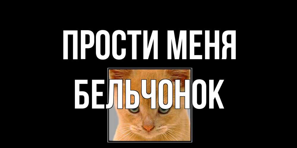 Открытка на каждый день с именем, бельчонок Прости меня рыжий грустный кот просит прощения Прикольная открытка с пожеланием онлайн скачать бесплатно 