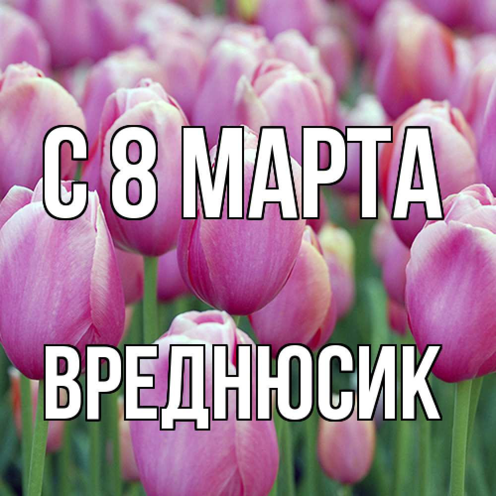 Открытка на каждый день с именем, Вреднюсик C 8 МАРТА на международный женский день 3 Прикольная открытка с пожеланием онлайн скачать бесплатно 
