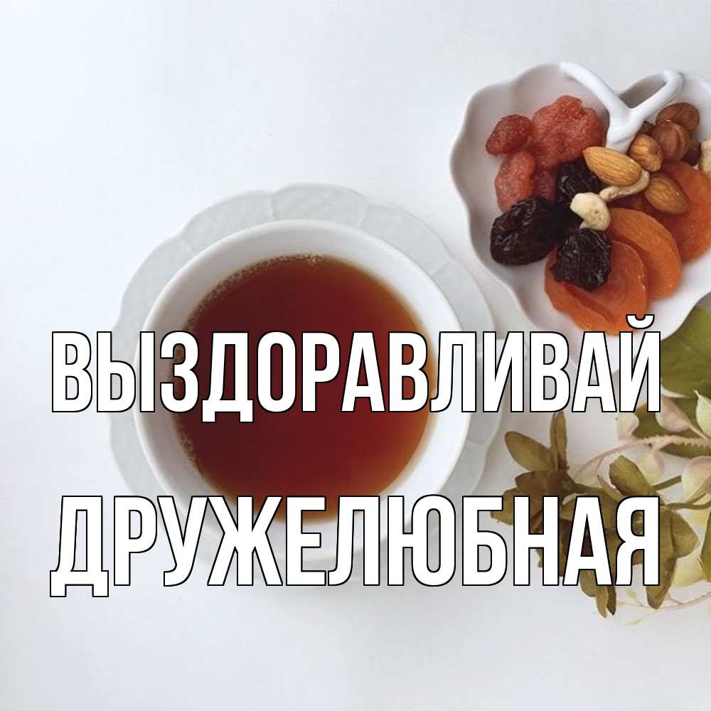 Открытка на каждый день с именем, Дружелюбная Выздоравливай неизвестные растения Прикольная открытка с пожеланием онлайн скачать бесплатно 