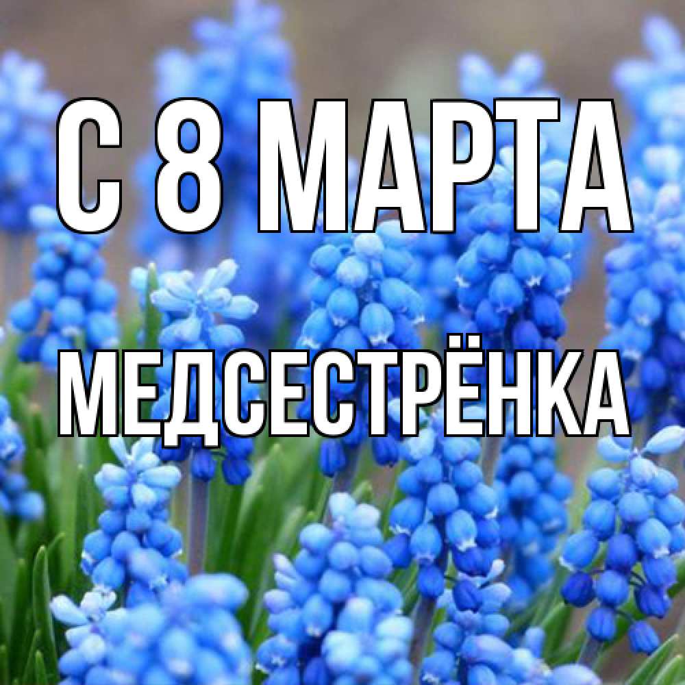Открытка на каждый день с именем, Медсестрёнка C 8 МАРТА Поздравительная открытка для женщин с цветами на праздничную дату Прикольная открытка с пожеланием онлайн скачать бесплатно 