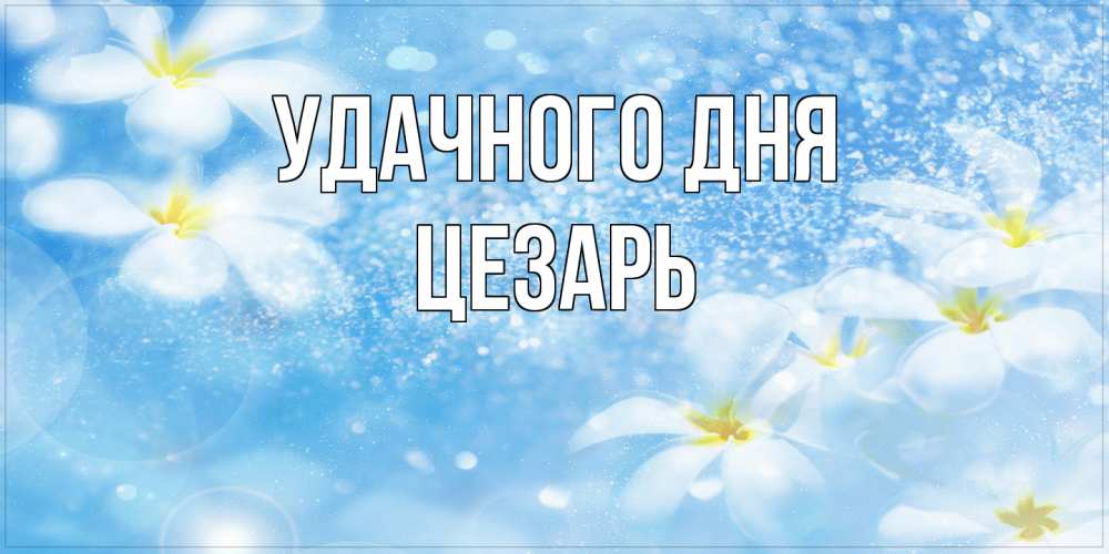 Открытка на каждый день с именем, Цезарь Удачного дня прекрасное настроение Прикольная открытка с пожеланием онлайн скачать бесплатно 