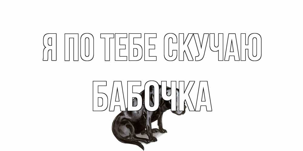 Открытка на каждый день с именем, Бабочка Я по тебе скучаю я по тебе скучаю открытка с собакой Прикольная открытка с пожеланием онлайн скачать бесплатно 