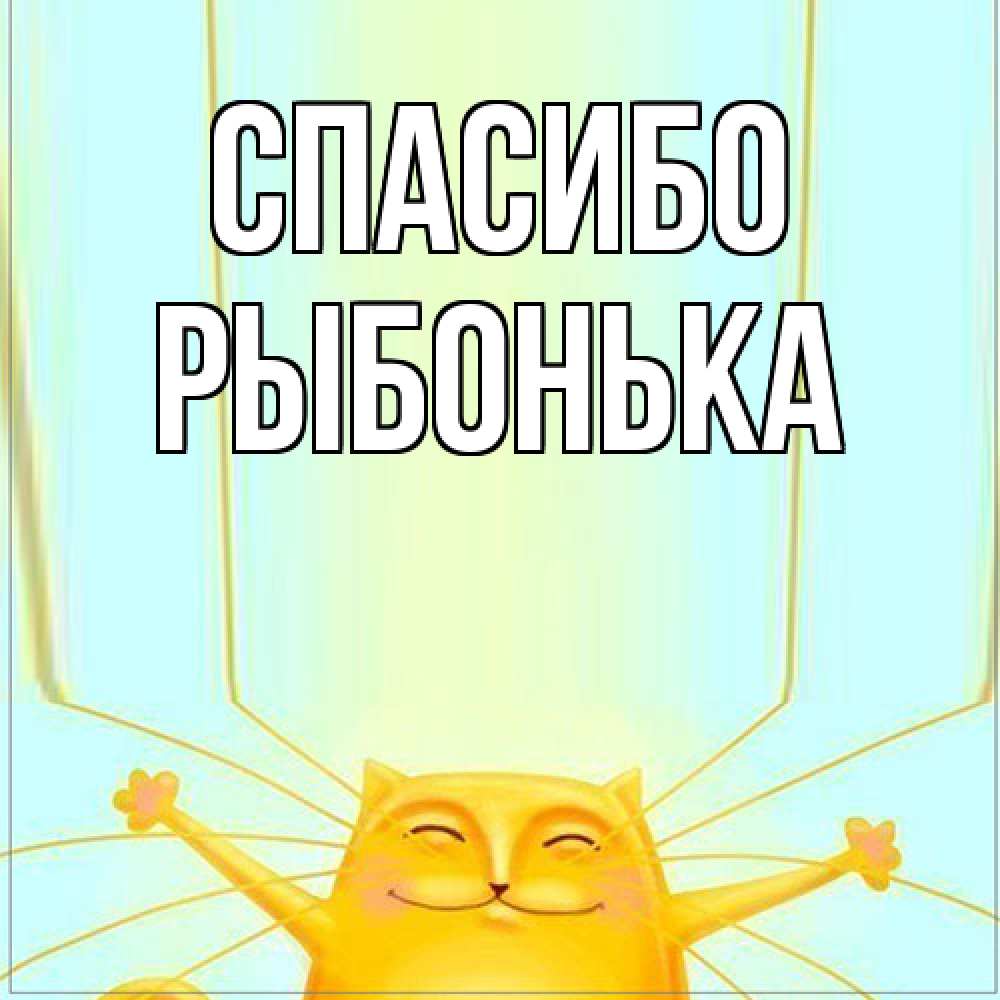Открытка на каждый день с именем, Рыбонька Спасибо кот с усами благодарит Прикольная открытка с пожеланием онлайн скачать бесплатно 