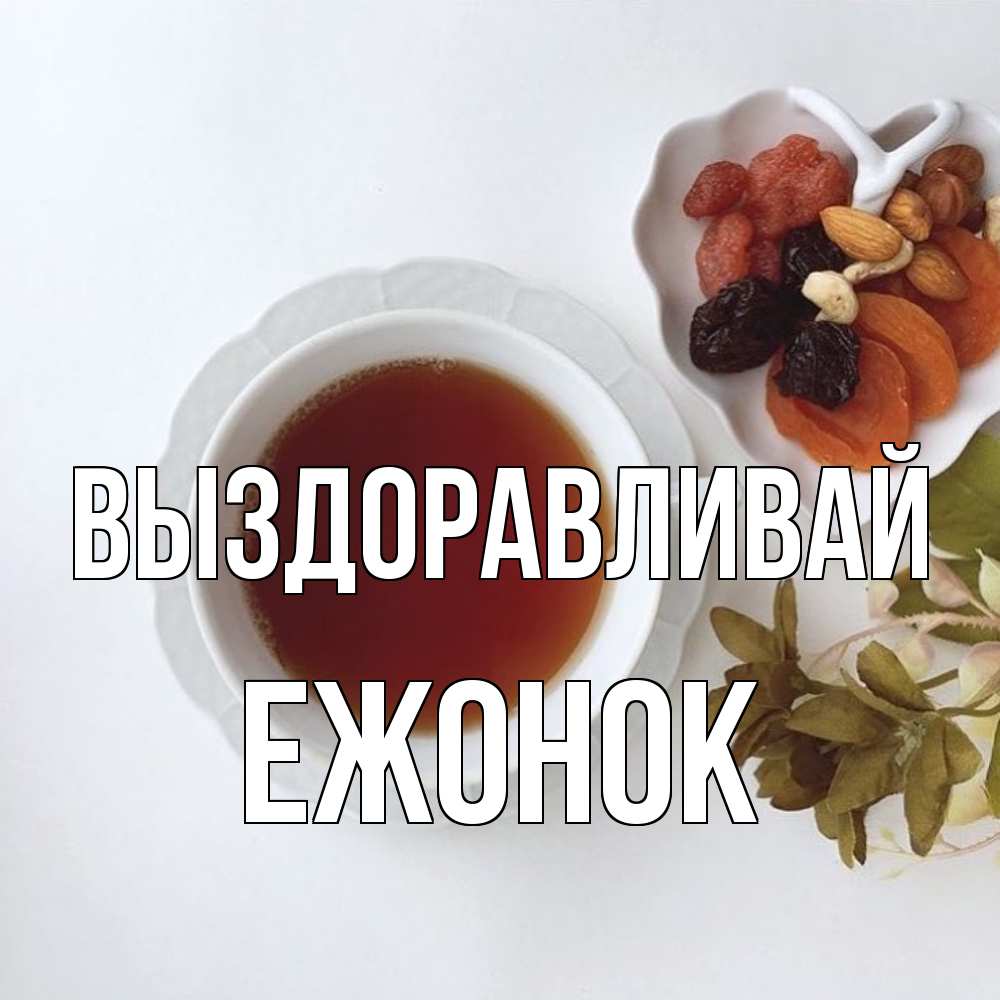 Открытка на каждый день с именем, Ежонок Выздоравливай неизвестные растения Прикольная открытка с пожеланием онлайн скачать бесплатно 