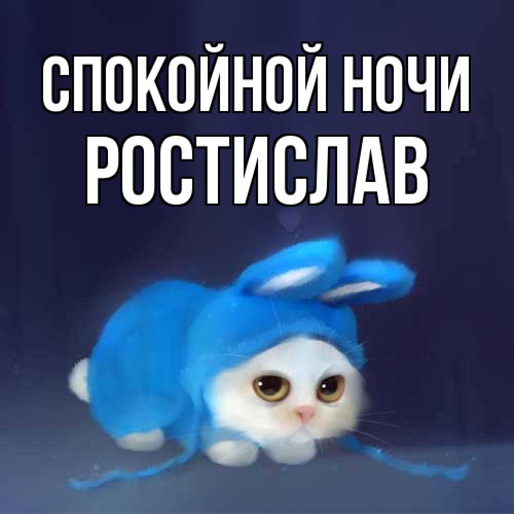 Открытка на каждый день с именем, Ростислав Спокойной ночи кот в голубом костюме кролика с ушками Прикольная открытка с пожеланием онлайн скачать бесплатно 