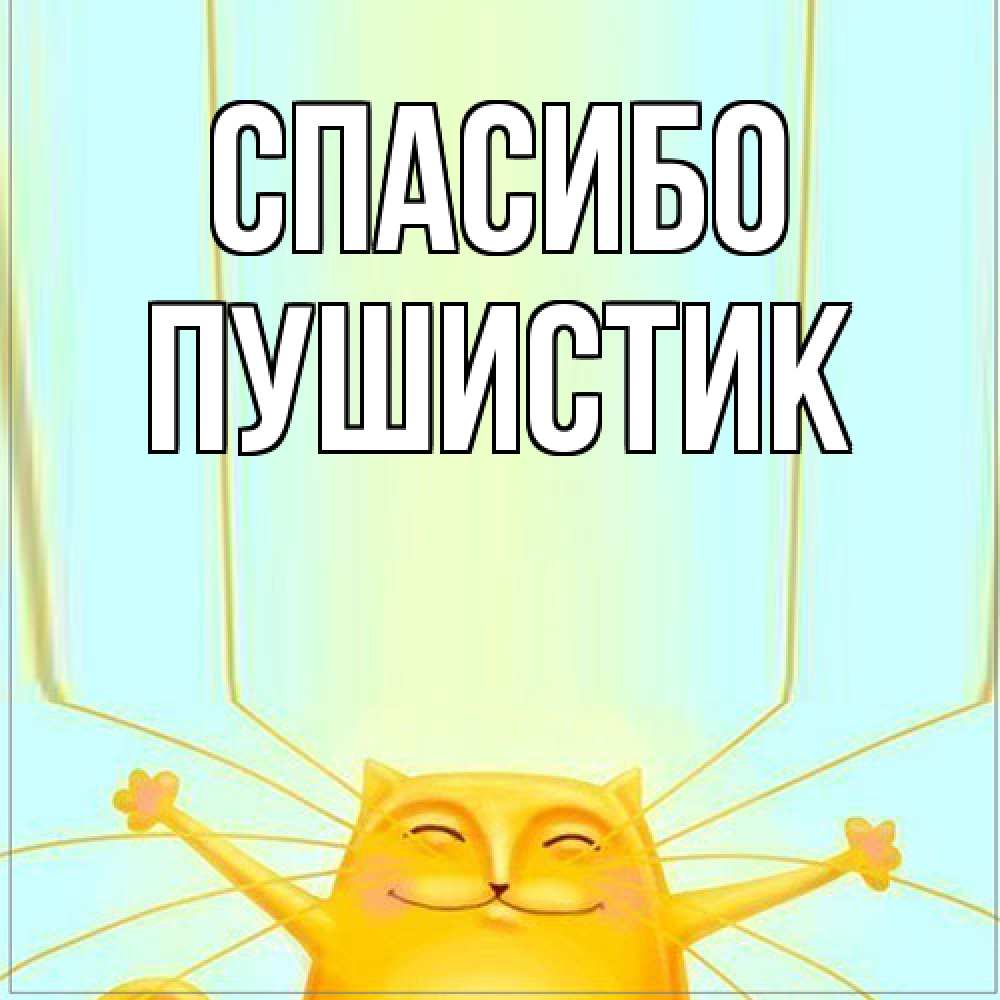 Открытка на каждый день с именем, Пушистик Спасибо кот с усами благодарит Прикольная открытка с пожеланием онлайн скачать бесплатно 