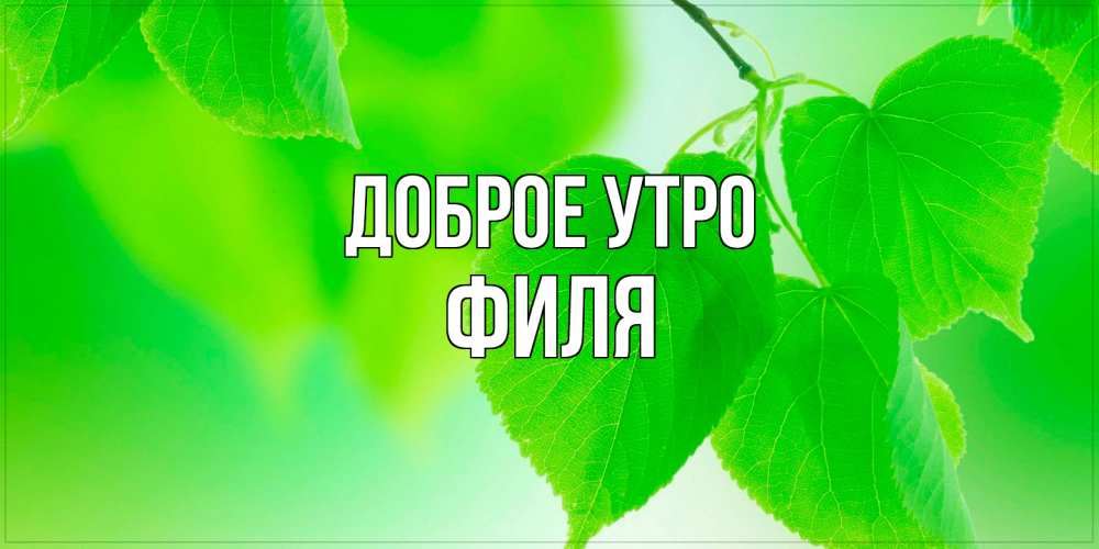 Открытка на каждый день с именем, Филя Доброе утро доброе утро с березовыми листьями Прикольная открытка с пожеланием онлайн скачать бесплатно 