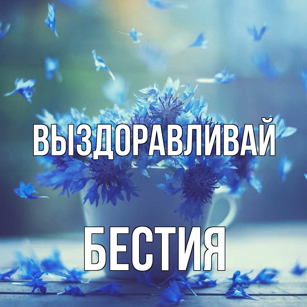 Открытка на каждый день с именем, Бестия Выздоравливай кружка с зельем и цветами Прикольная открытка с пожеланием онлайн скачать бесплатно 