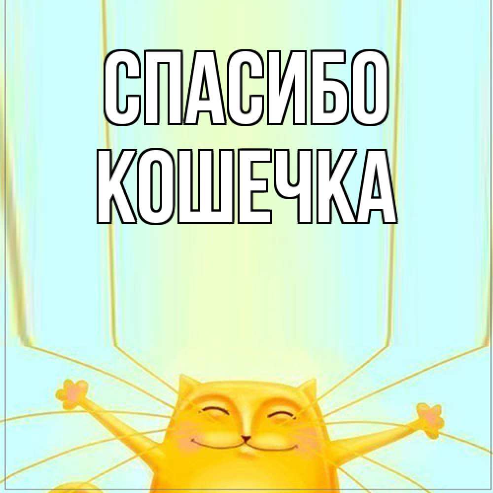 Открытка на каждый день с именем, кошечка Спасибо кот с усами благодарит Прикольная открытка с пожеланием онлайн скачать бесплатно 