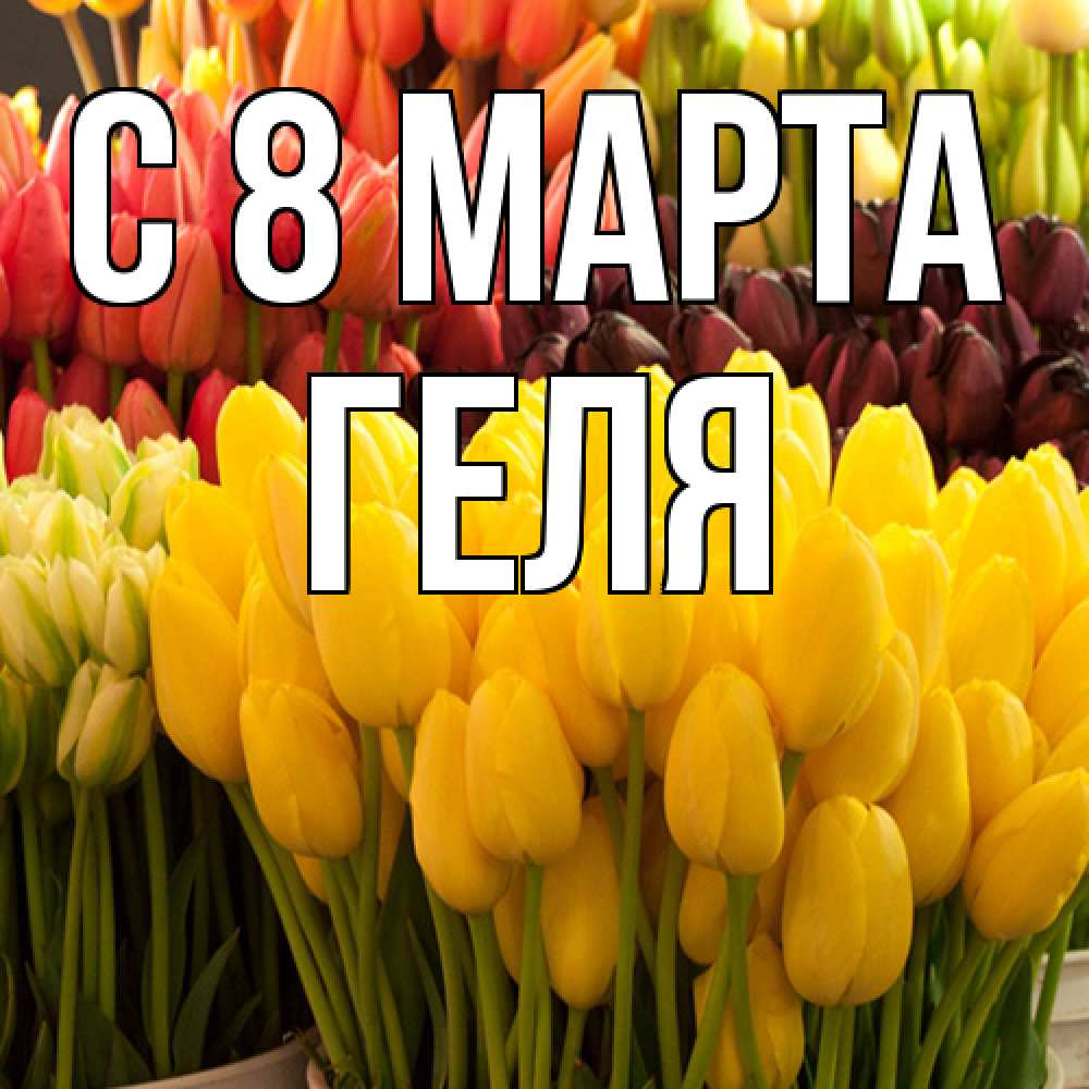 Открытка на каждый день с именем, Геля C 8 МАРТА цветы Прикольная открытка с пожеланием онлайн скачать бесплатно 