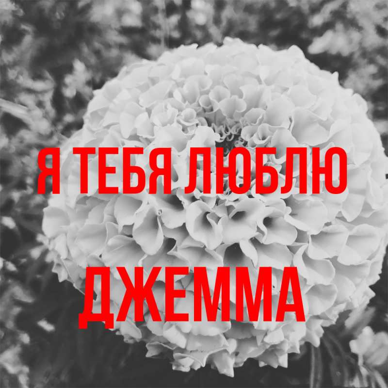Открытка с именем, Джемма, Я тебя люблю