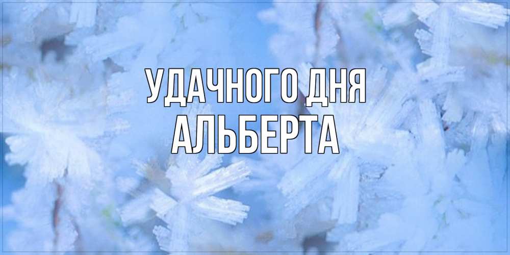 Открытка на каждый день с именем, Альберта Удачного дня открытка на зимний день Прикольная открытка с пожеланием онлайн скачать бесплатно 