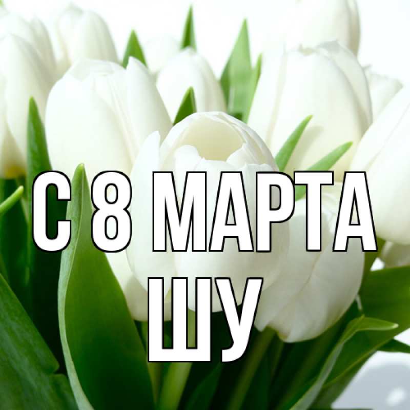 Картинка C 8 МАРТА, Шу
