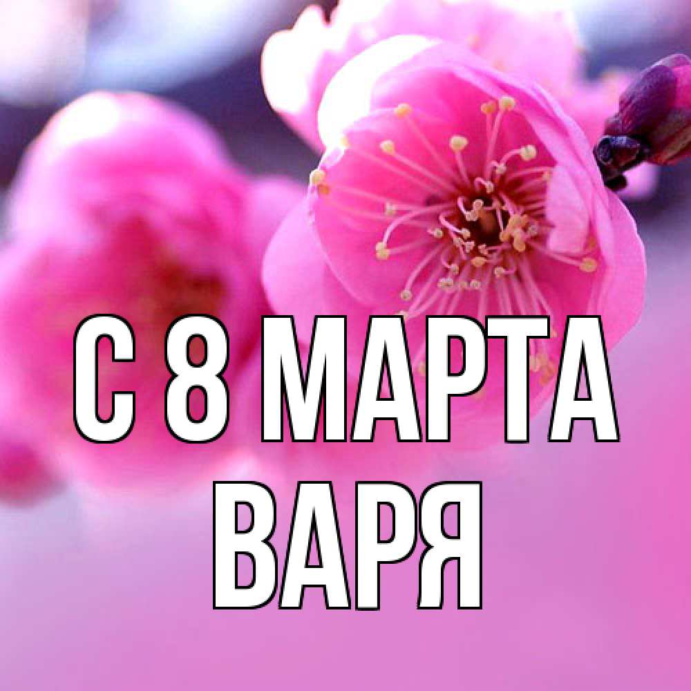 Открытка на каждый день с именем, Варя C 8 МАРТА международный женский день Прикольная открытка с пожеланием онлайн скачать бесплатно 