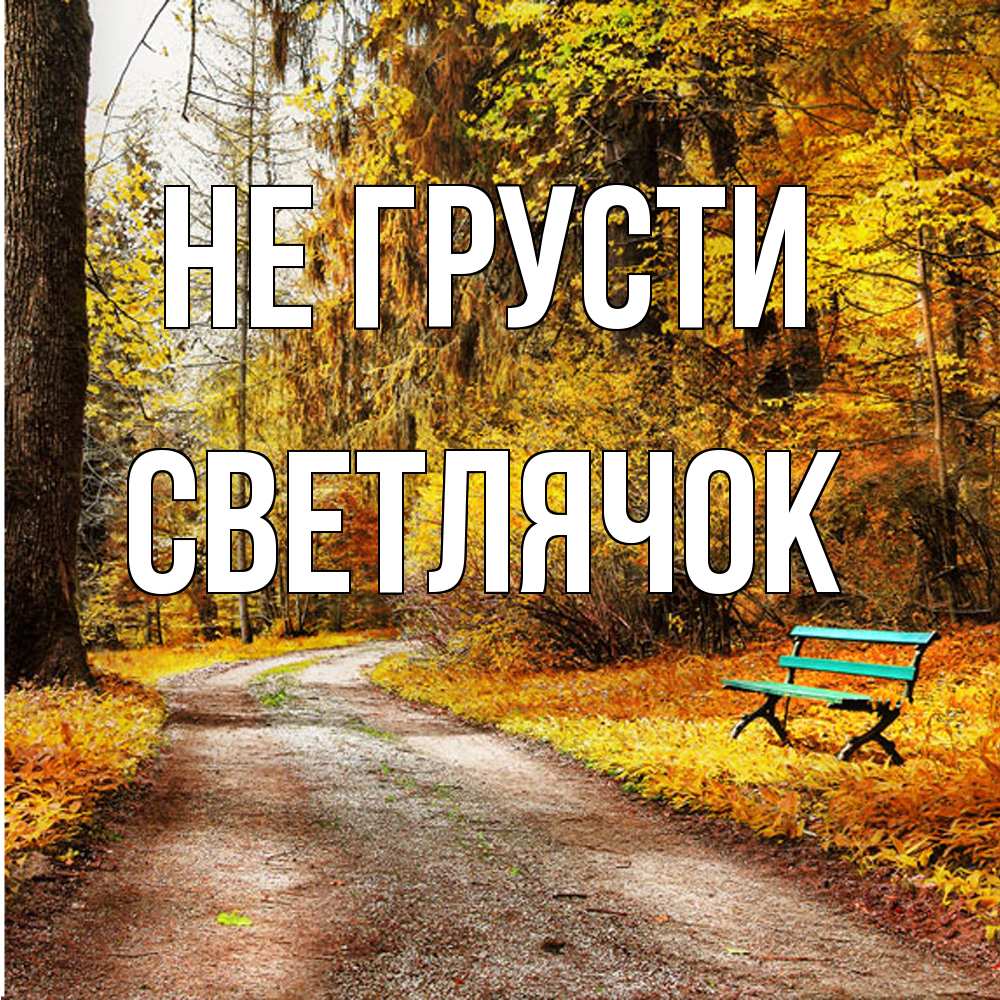 Открытка на каждый день с именем, Светлячок Не грусти зеленая лавочка Прикольная открытка с пожеланием онлайн скачать бесплатно 