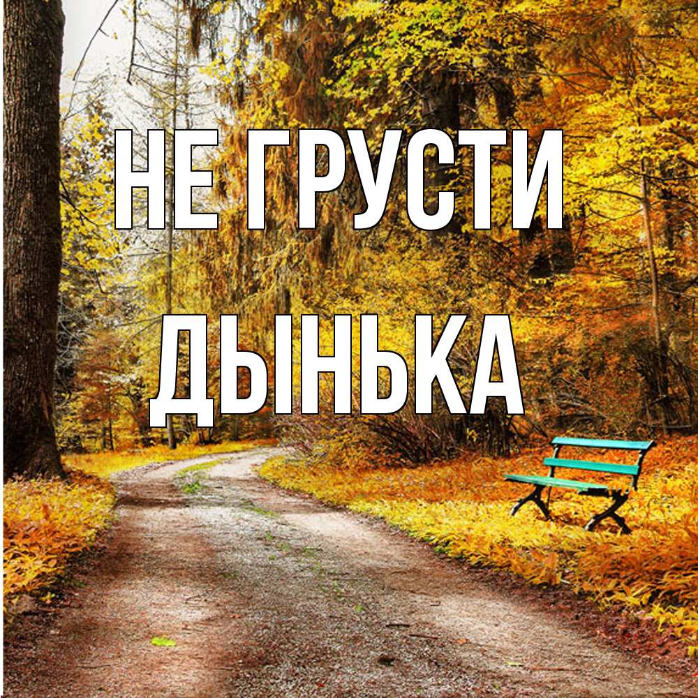 Открытка на каждый день с именем, Дынька Не грусти зеленая лавочка Прикольная открытка с пожеланием онлайн скачать бесплатно 