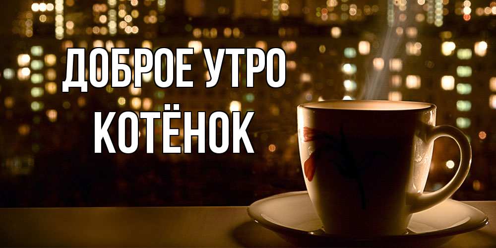 Открытка на каждый день с именем, Котёнок Доброе утро утрешнее настроение Прикольная открытка с пожеланием онлайн скачать бесплатно 