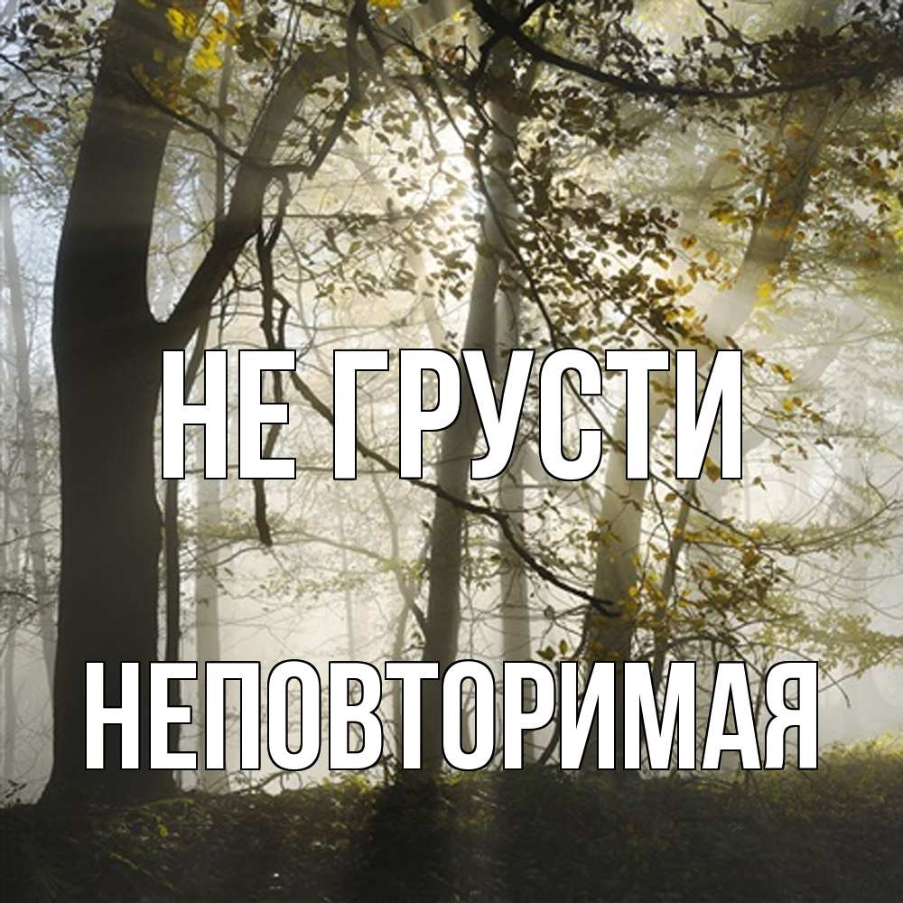 Открытка на каждый день с именем, Неповторимая Не грусти лес и свет Прикольная открытка с пожеланием онлайн скачать бесплатно 