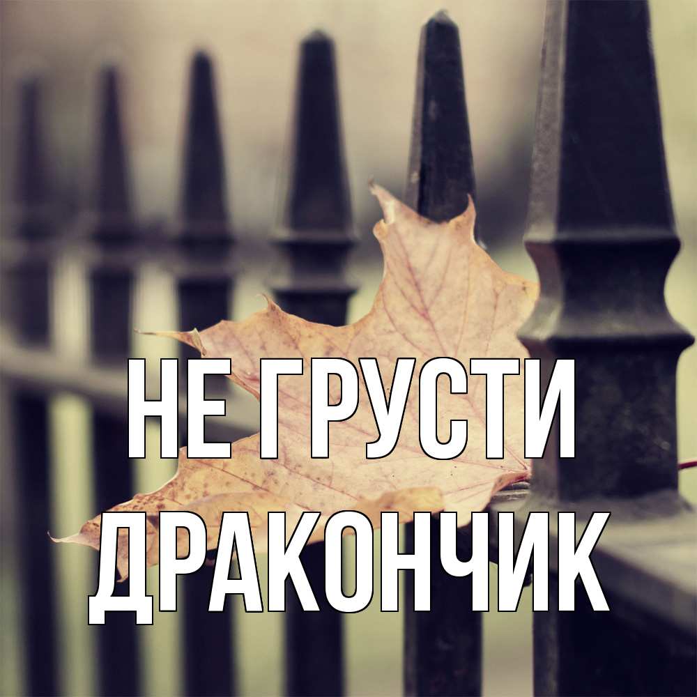 Открытка на каждый день с именем, Дракончик Не грусти лист клена Прикольная открытка с пожеланием онлайн скачать бесплатно 