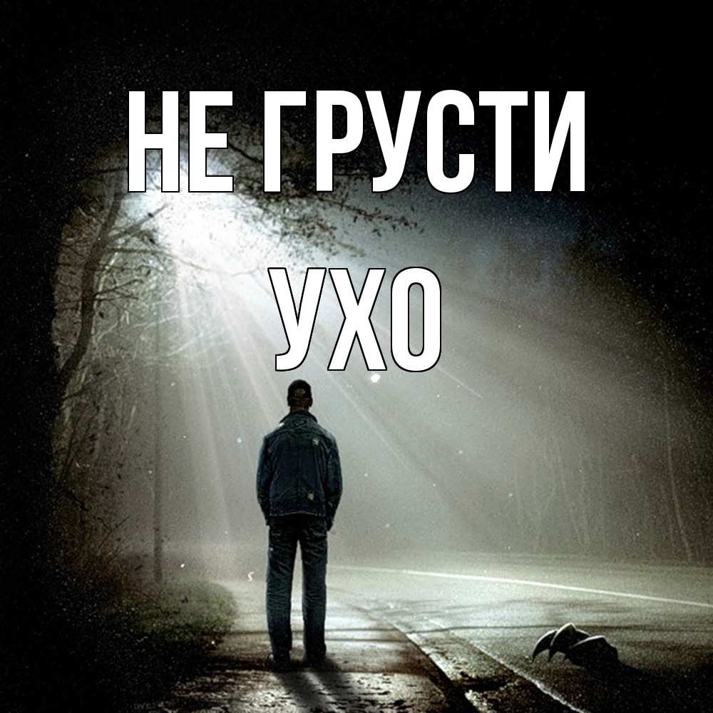 Открытка на каждый день с именем, Ухо Не грусти свет с неба в лесу Прикольная открытка с пожеланием онлайн скачать бесплатно 