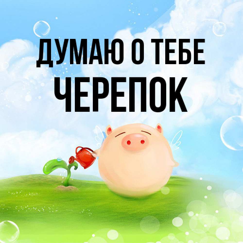 Открытка на каждый день с именем, Черепок Думаю о тебе позитивная свинюшка Прикольная открытка с пожеланием онлайн скачать бесплатно 