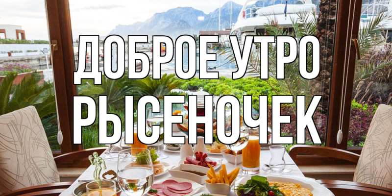 Картинка Доброе утро, Рысеночек