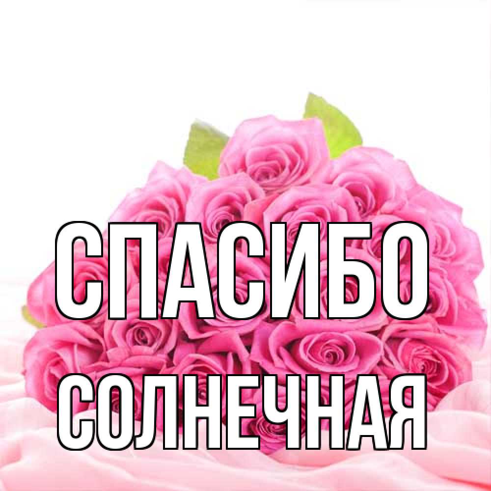 Открытка на каждый день с именем, солнечная Спасибо розовые розы с подписью Прикольная открытка с пожеланием онлайн скачать бесплатно 