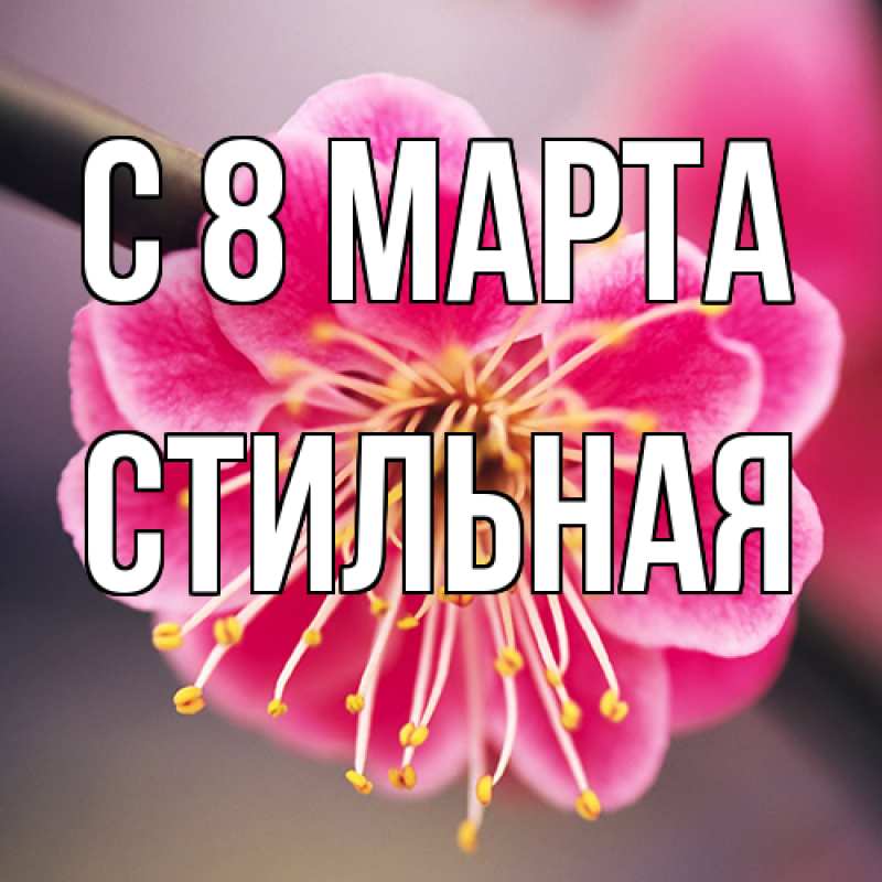 Картинка C 8 МАРТА, Стильная