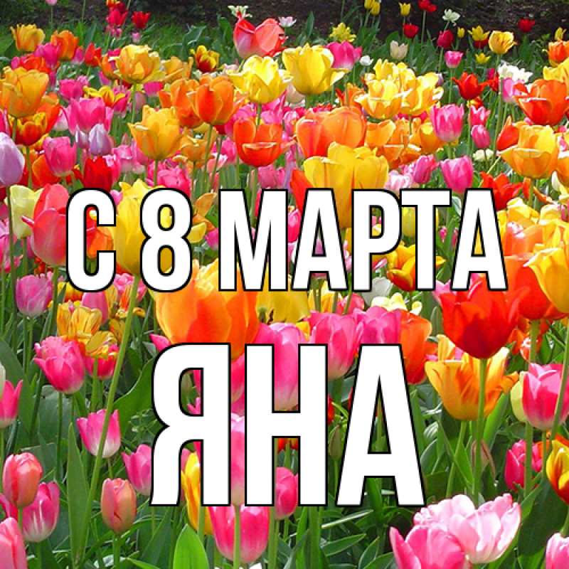 Картинка C 8 МАРТА, Яна