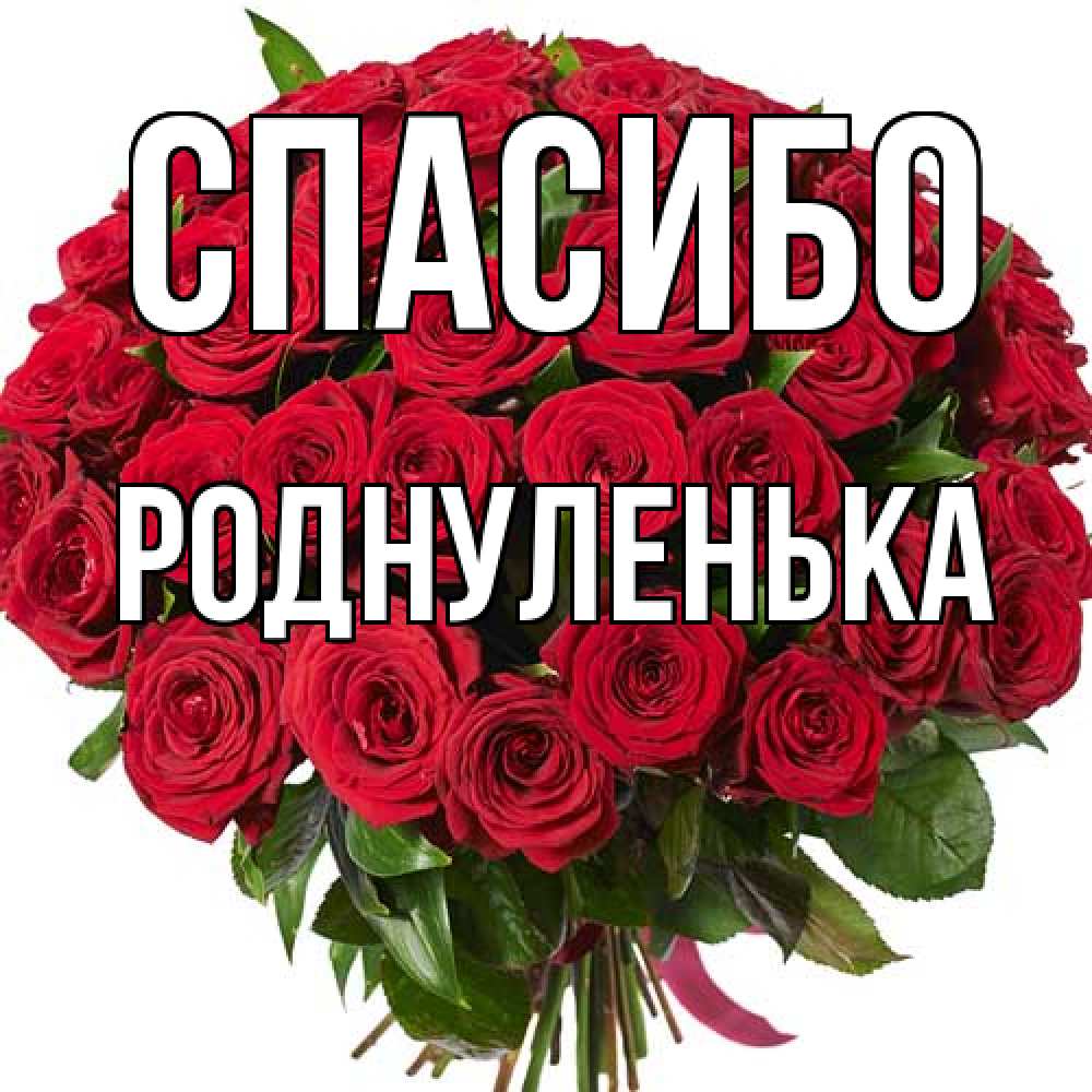 Открытка на каждый день с именем, Роднуленька Спасибо букет красных роз Прикольная открытка с пожеланием онлайн скачать бесплатно 