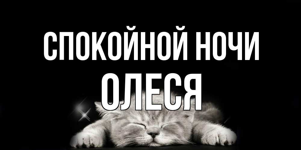 Открытка на каждый день с именем, Олеся Спокойной ночи спящий котик Прикольная открытка с пожеланием онлайн скачать бесплатно 