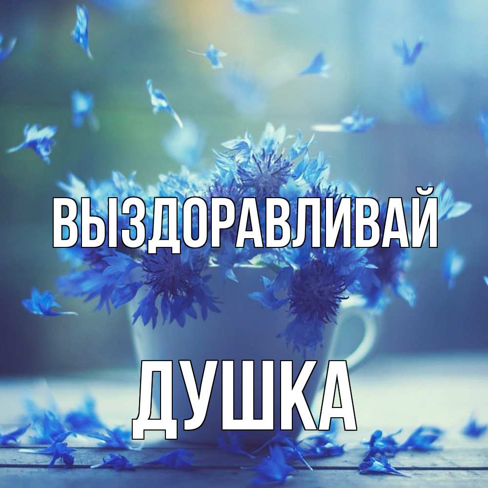 Открытка на каждый день с именем, Душка Выздоравливай кружка с зельем и цветами Прикольная открытка с пожеланием онлайн скачать бесплатно 