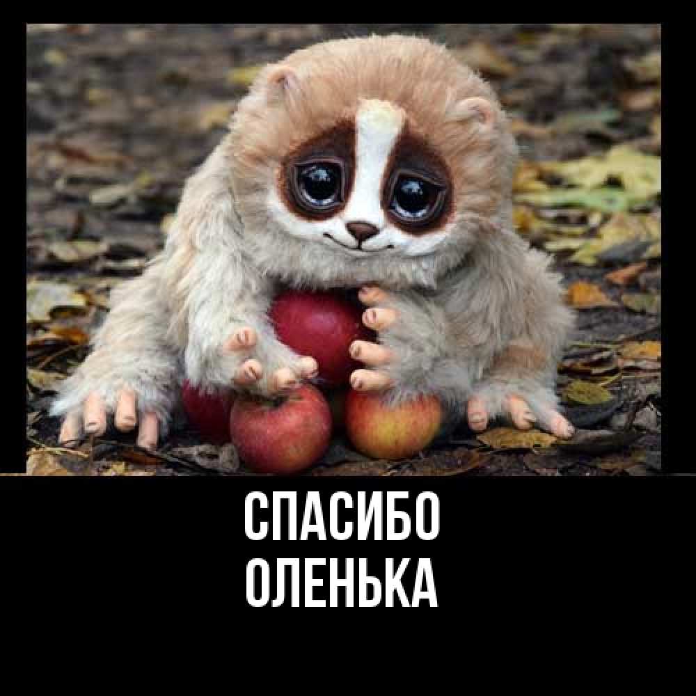 Открытка на каждый день с именем, Оленька Спасибо прикольное животное Прикольная открытка с пожеланием онлайн скачать бесплатно 