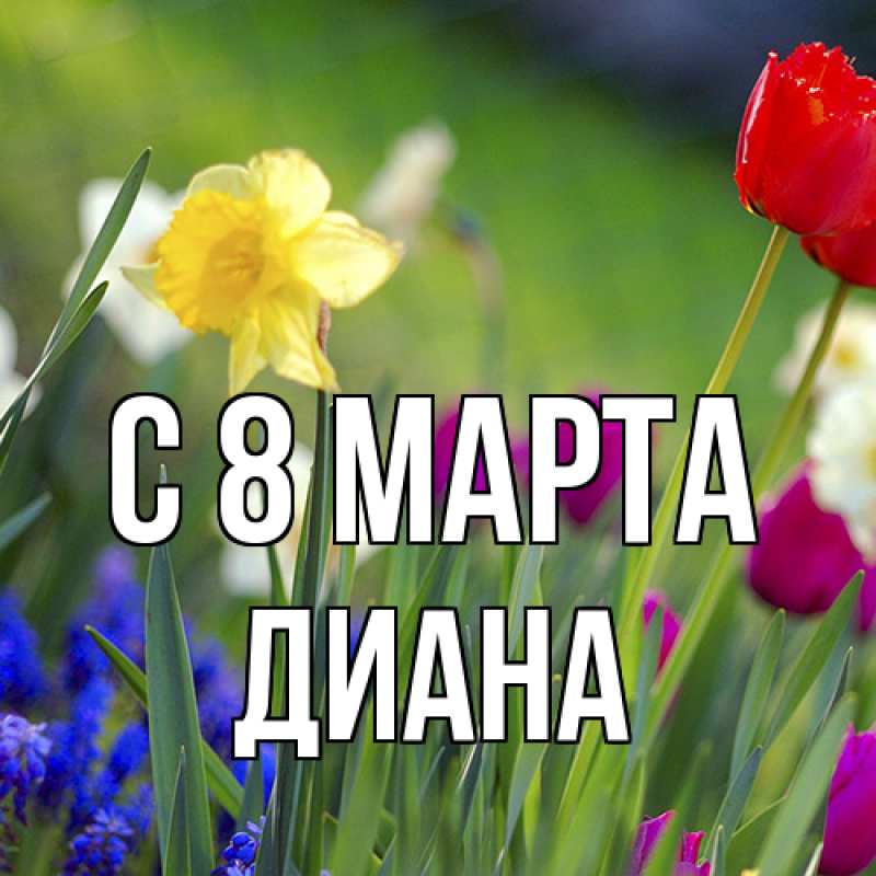 Картинка C 8 МАРТА, Диана