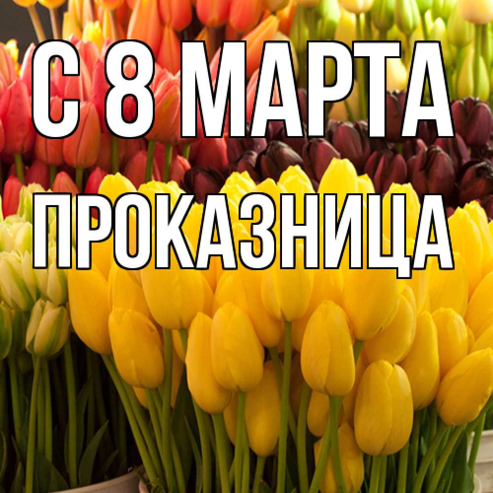 Открытка на каждый день с именем, Проказница C 8 МАРТА цветы Прикольная открытка с пожеланием онлайн скачать бесплатно 