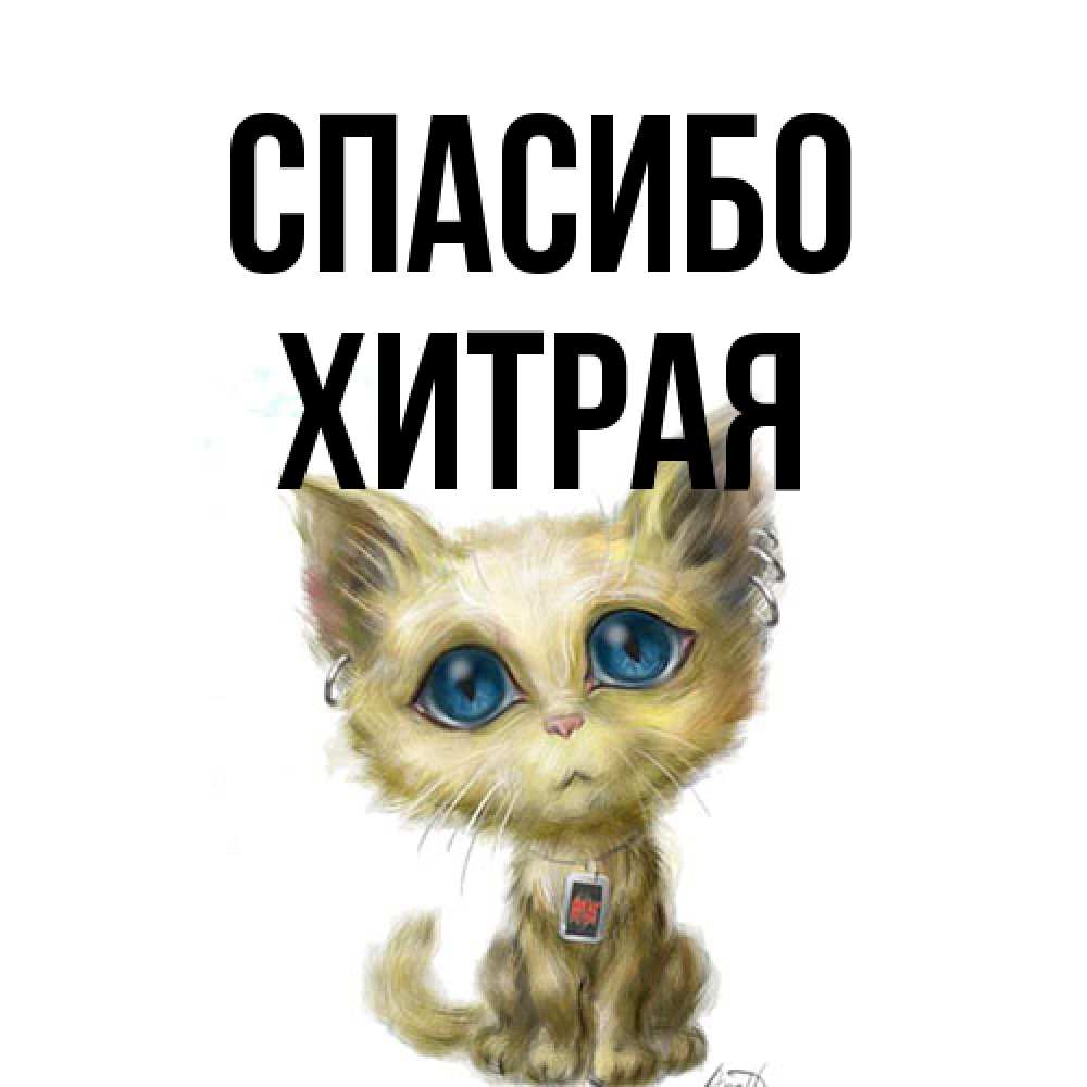 Открытка на каждый день с именем, хитрая Спасибо рисованный кот благодарит вас Прикольная открытка с пожеланием онлайн скачать бесплатно 
