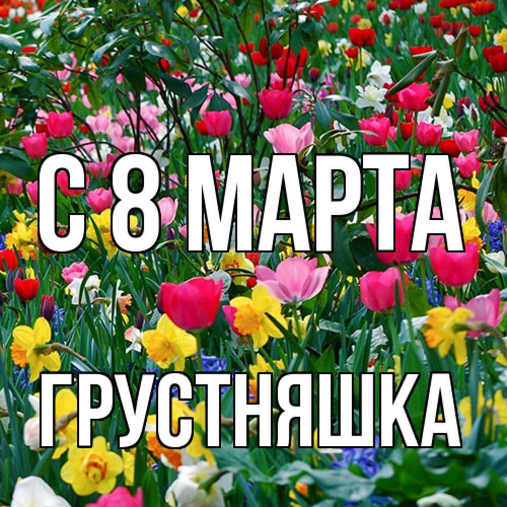Открытка на каждый день с именем, Грустняшка C 8 МАРТА с международным женским днем поздравления для женщины Прикольная открытка с пожеланием онлайн скачать бесплатно 