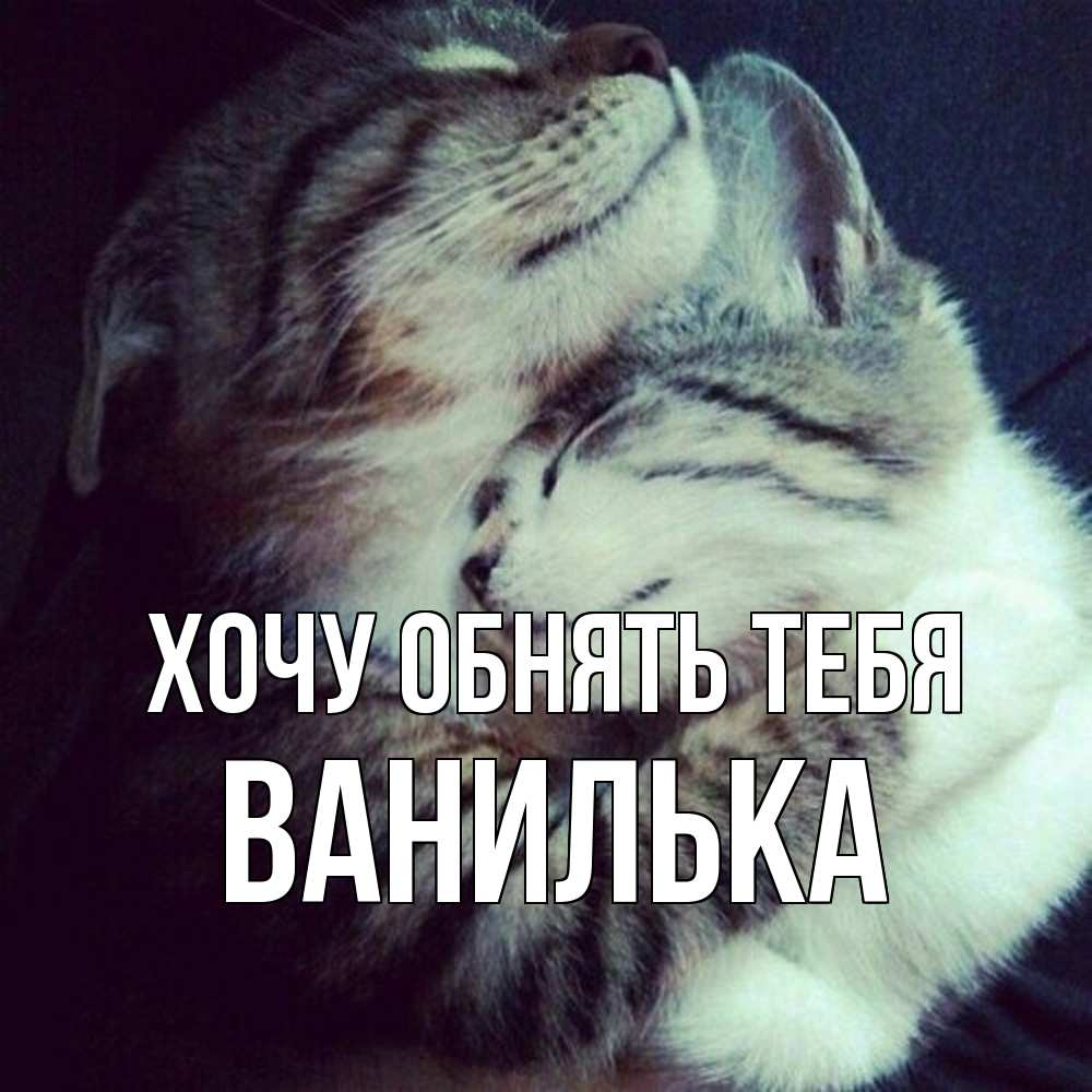Открытка на каждый день с именем, Ванилька Хочу обнять тебя полосатики Прикольная открытка с пожеланием онлайн скачать бесплатно 