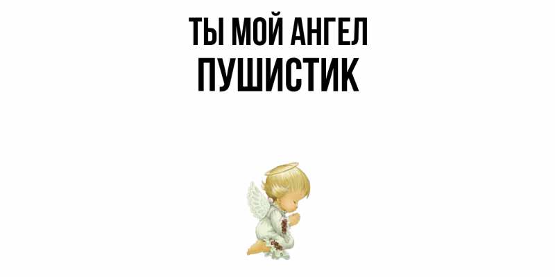 Картинка Ты мой ангел, Пушистик