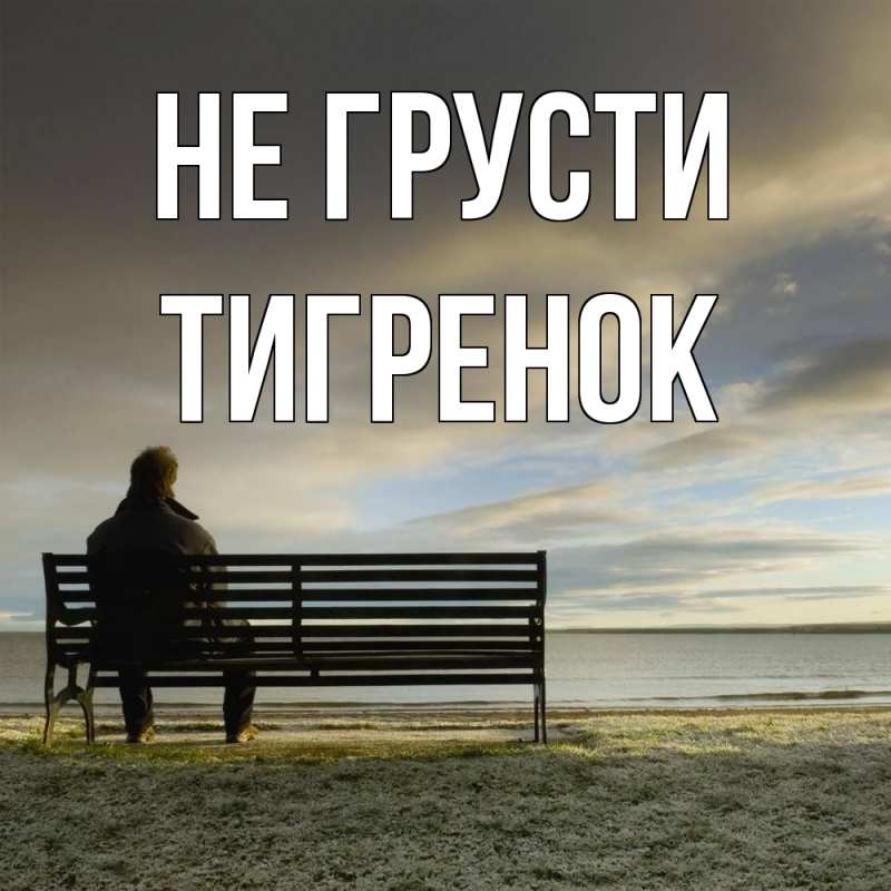 Картинка Не грусти, Тигpенок