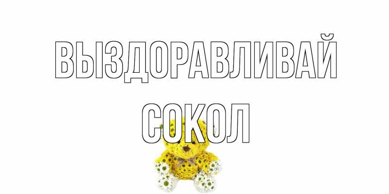 Картинка Выздоравливай, Сокол