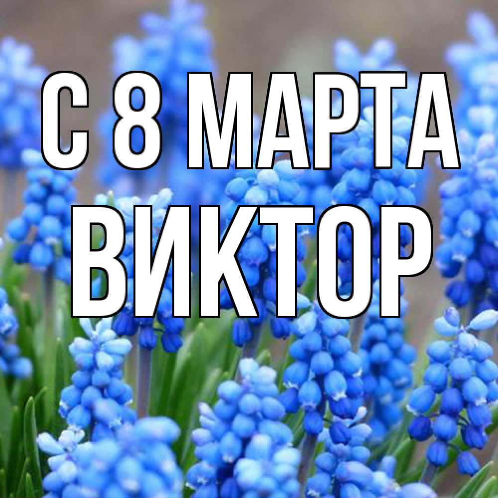 Открытка на каждый день с именем, Виктор C 8 МАРТА Поздравительная открытка для женщин с цветами на праздничную дату Прикольная открытка с пожеланием онлайн скачать бесплатно 