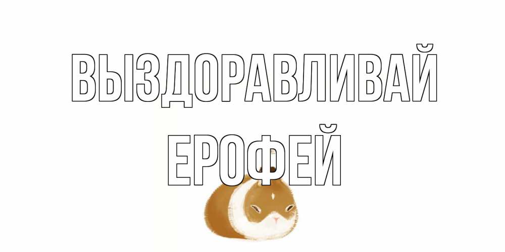 Открытка на каждый день с именем, Ерофей Выздоравливай морская свинка на открытке с пожеланиями не болеть Прикольная открытка с пожеланием онлайн скачать бесплатно 