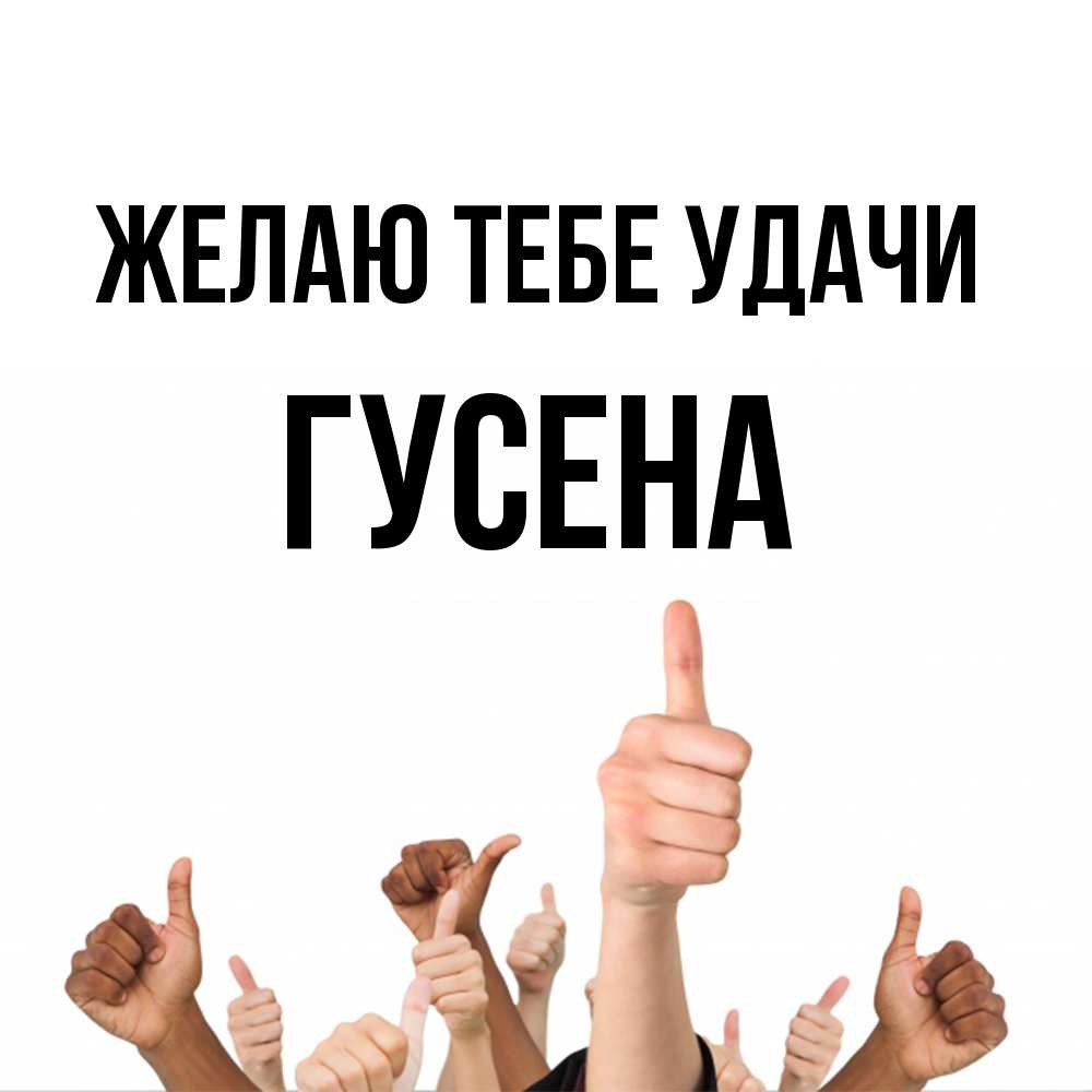 Открытка на каждый день с именем, гусена Желаю тебе удачи молодцом Прикольная открытка с пожеланием онлайн скачать бесплатно 