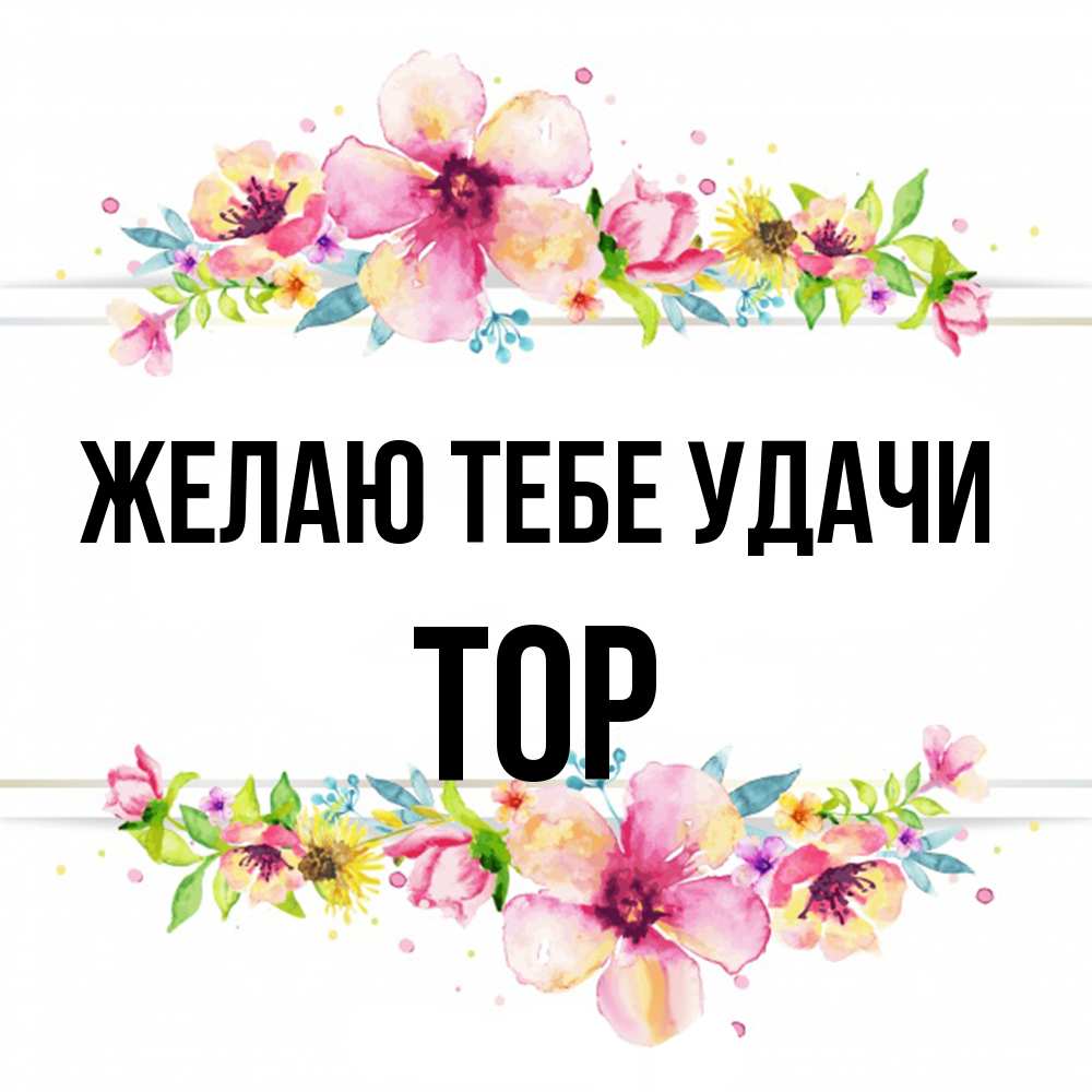Открытка на каждый день с именем, Тор Желаю тебе удачи пусть повезет 1 Прикольная открытка с пожеланием онлайн скачать бесплатно 