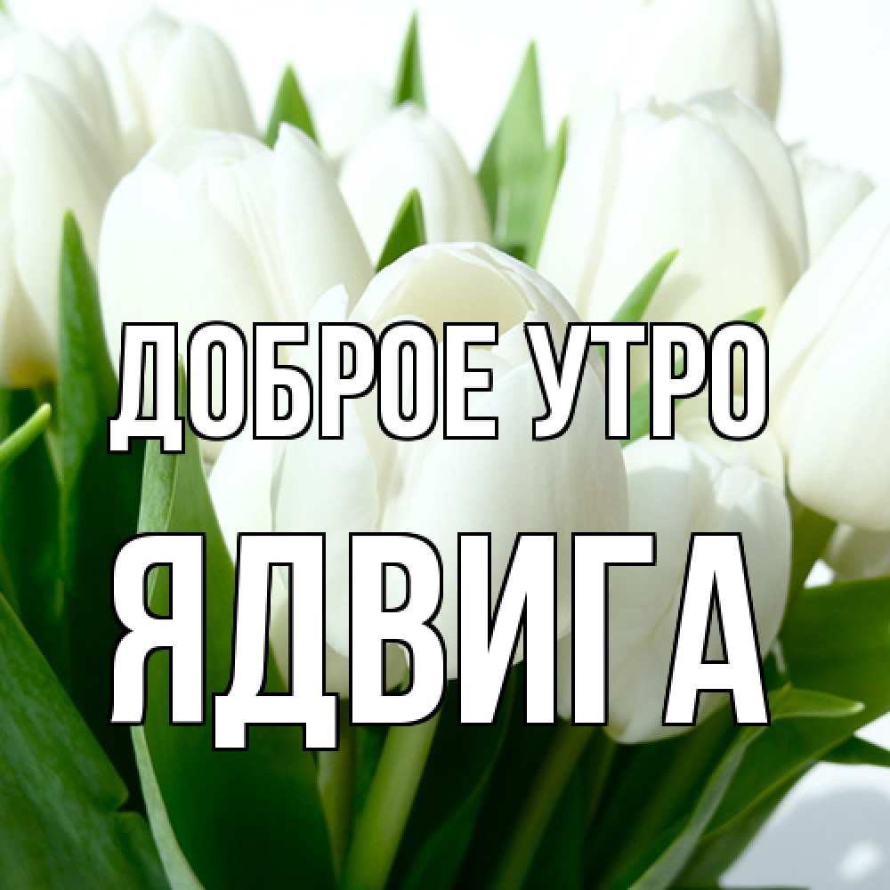 Открытка на каждый день с именем, Ядвига Доброе утро открытки на каждый день по именам Прикольная открытка с пожеланием онлайн скачать бесплатно 