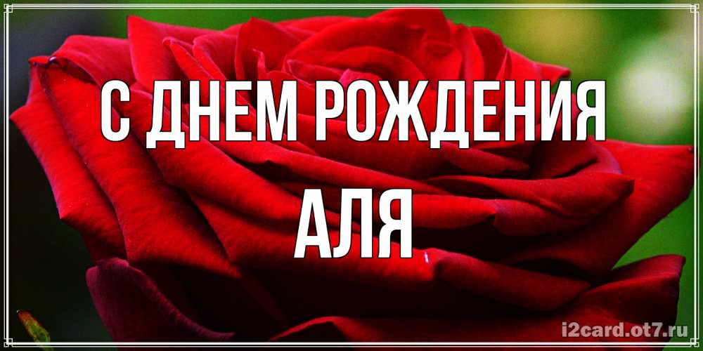 Открытка на каждый день с именем, Аля С днем рождения розочка очень красивая Прикольная открытка с пожеланием онлайн скачать бесплатно 