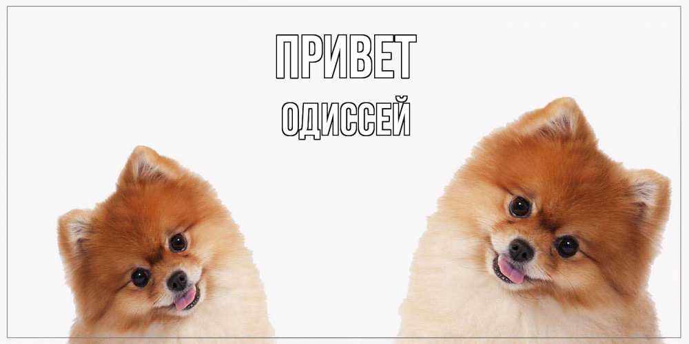 Открытка на каждый день с именем, Одиссей Привет привет Прикольная открытка с пожеланием онлайн скачать бесплатно 